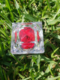 Shipping Only! Natural Preserved Rose Crystal Acrylic Ring Box
