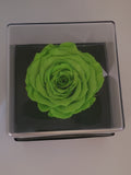 Scented Love