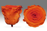 The Kind Eternal Bouquet