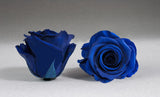The Kind Eternal Bouquet