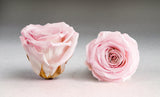 Scented Heart