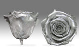 Eternal Love Rose-SOLD OUT-Available in 3 business days Pre-order today!