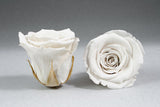 Enchanted Capsule
