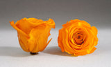The Kind Eternal Bouquet
